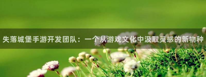 娱乐星空：失落城堡手游开发团队：一个从游戏文化中汲取灵感的新
