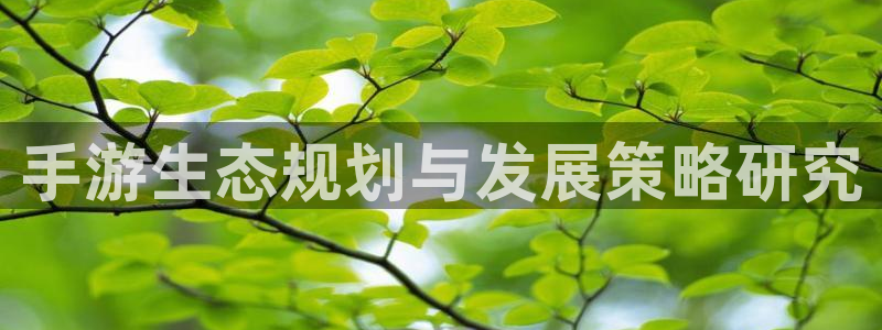 星空娱乐下载：手游生态规划与发展策略研究