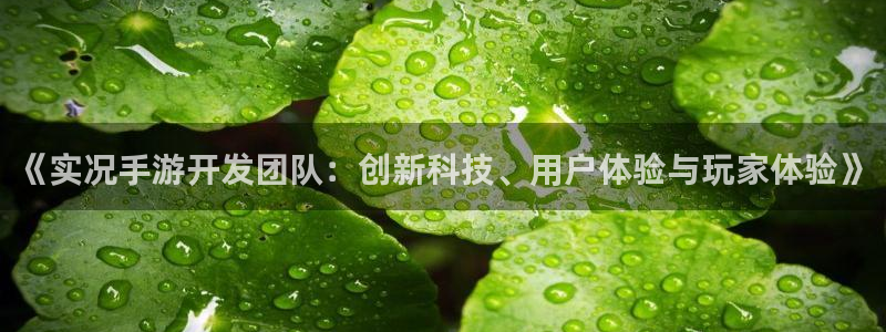星空93299娱乐：《实况手游开发团队：创新科技、用户体验与