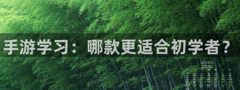93299星空娱乐原版：手游学习：哪款更适合初学者？