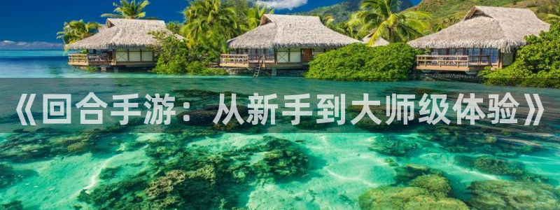 星空娱乐2021官方网站：《回合手游：从新手到大师级体验》