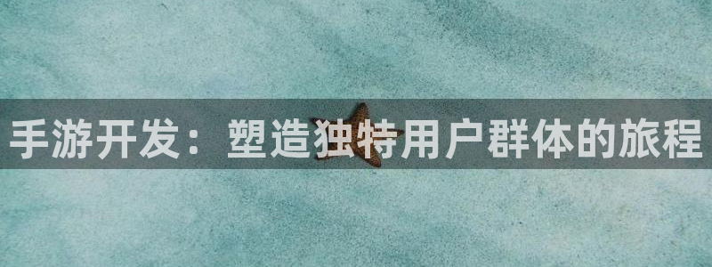 星空娱乐网站：手游开发：塑造独特用户群体的旅程