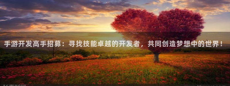 星空娱乐老版本：手游开发高手招募：寻找技能卓越的开发者，共同