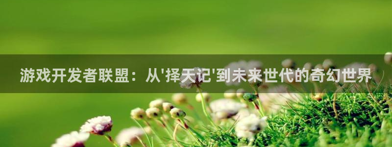 星空体育娱乐：游戏开发者联盟：从\'择天记\'到未来世代的奇