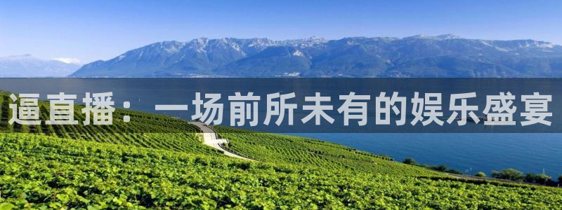 919体育直播间：逼直播：一场前所未有的娱乐盛宴