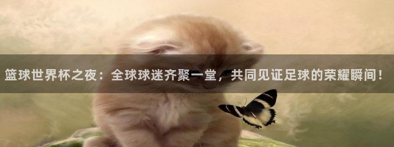 919看球直播官网入口：篮球世界杯之夜：全球球迷齐聚一堂，共同见证足球的荣耀瞬间！
