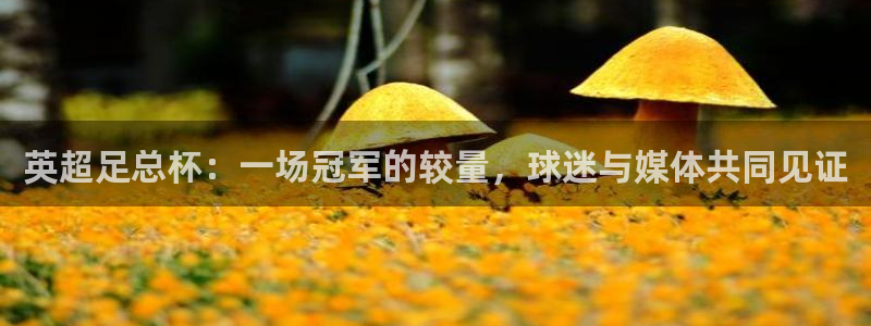 919nba直播篮球比赛：英超足总杯：一场冠军的较量，球迷与媒体共同见证