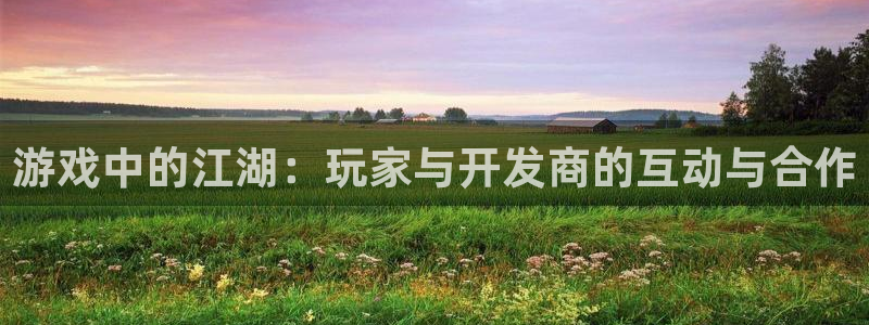 星空93299娱乐：游戏中的江湖：玩家与开发商的互动与合作
