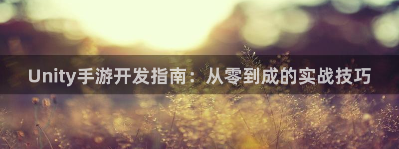 星空93299娱乐官网：Unity手游开发指南：从零到成的实