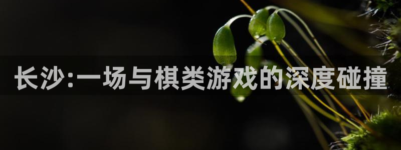 星空93299娱乐：长沙:一场与棋类游戏的深度碰撞