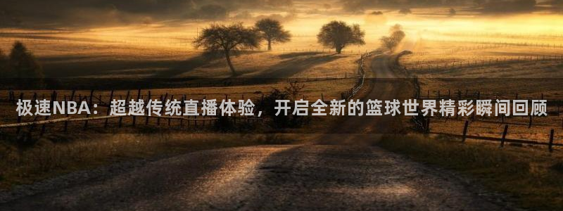 919看球直播app：极速NBA：超越传统直播体验，开启全新的篮球世界精彩瞬间回顾