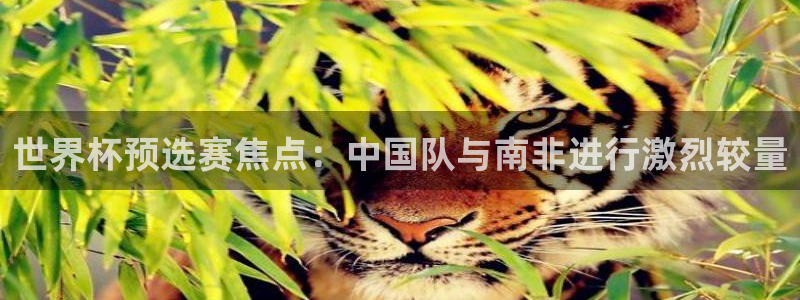 919直播看球下载：世界杯预选赛焦点：中国队与南非进行激烈较量