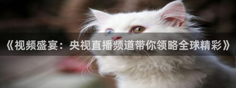 919直播平台：《视频盛宴：央视直播频道带你领略全球精彩》