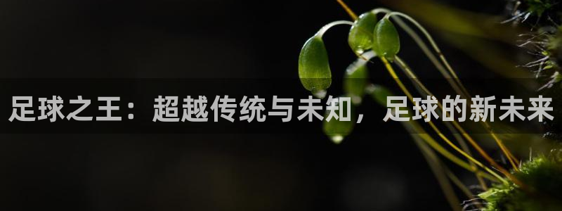 919直播体育在线直播在线看：足球之王：超越传统与未知，足球的新未来