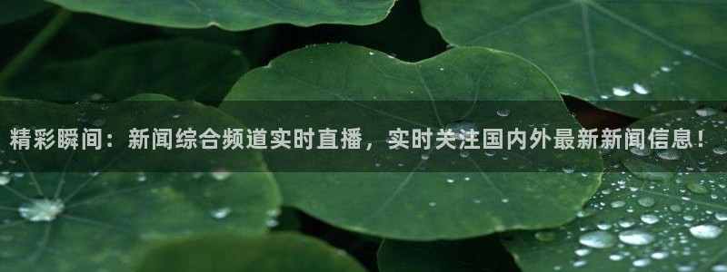 919篮球直播：精彩瞬间：新闻综合频道实时直播，实时关注国内外最新新闻信息！