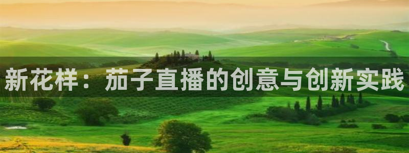 919看球直播app：新花样：茄子直播的创意与创新实践