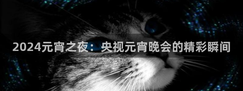 919直播间官网：2024元宵之夜：央视元宵晚会的精彩瞬间