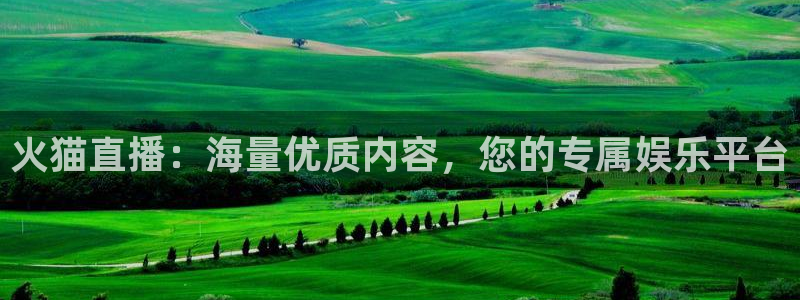 919直播看球 篮球比赛：火猫直播：海量优质内容，您的专属娱乐平台