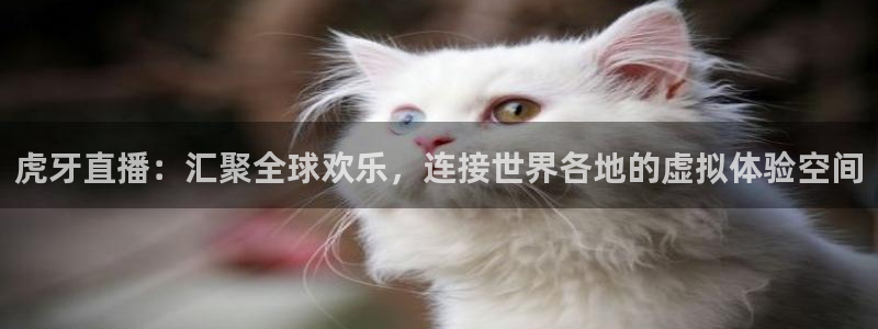 919nba直播：虎牙直播：汇聚全球欢乐，连接世界各地的虚拟体验空间