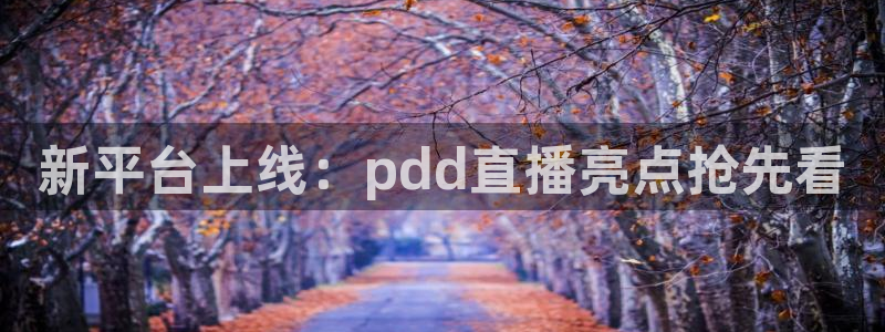 919体育：新平台上线：pdd直播亮点抢先看