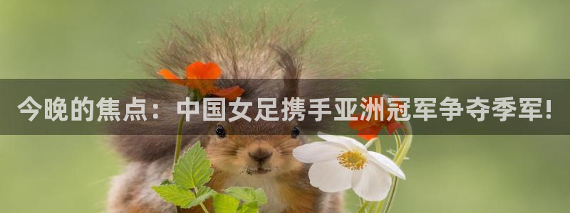 919直播看球下载：今晚的焦点：中国女足携手亚洲冠军争夺季军!